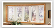 Windows and Patio Doors